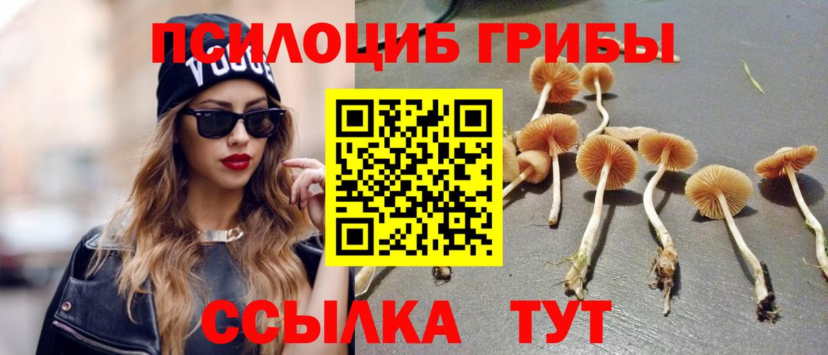 Псилоцибиновые грибы мицелий  Вход с VPN  Камышин  Псилоцибиновые грибы прущие грибы 