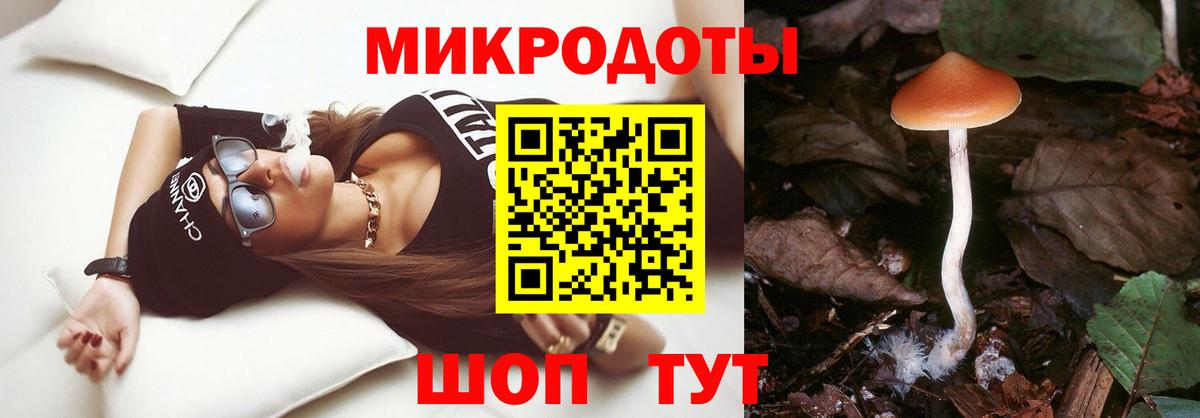 Псилоцибиновые грибы Cubensis Камышин